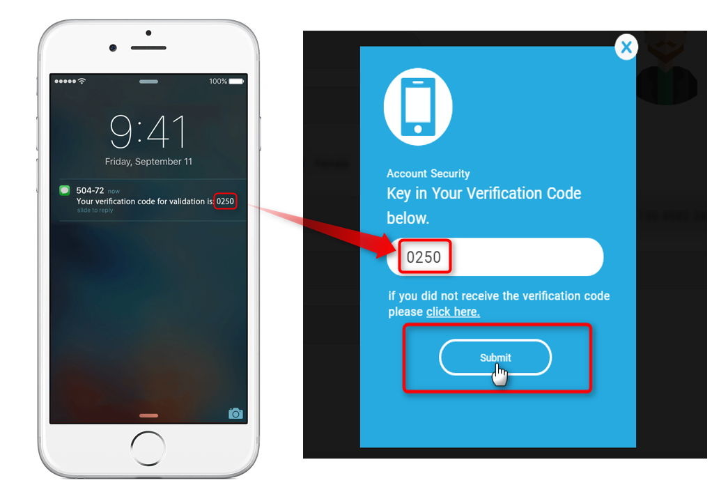 3.Then fill in the verify code you receive and summit！（Example below）