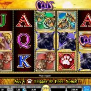 918Kiss(Scr888) Casino Online Slot Game free download - CATS