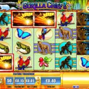 m.scr888 slot game Gorilla Chief 2 Free Download